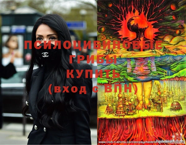 mdpv Белокуриха
