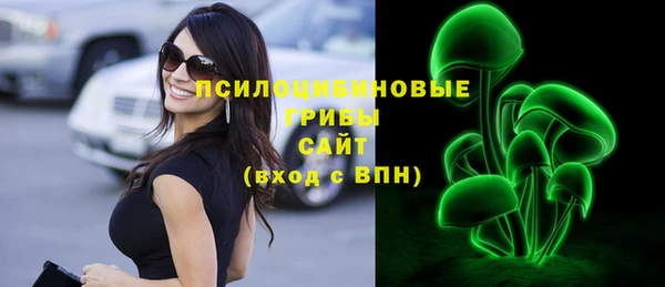 ПСИЛОЦИБИНОВЫЕ ГРИБЫ Белоозёрский