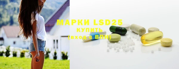 стаф Богданович