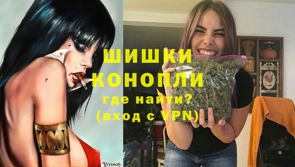 mdpv Белокуриха