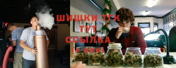 mdpv Белокуриха